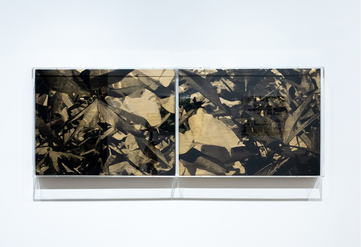 photo of artwork titled untitled black and gold diptych shown at centre[3] gallery in hamilton ontario