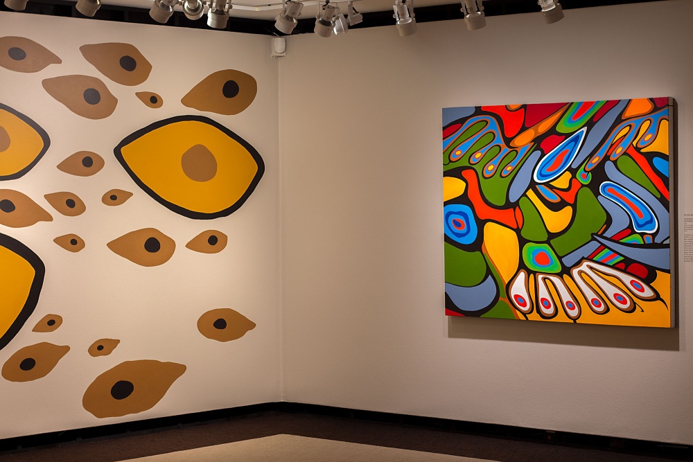 A Temporary exhibition at the McMichael presenting over 100 works from their collection. 