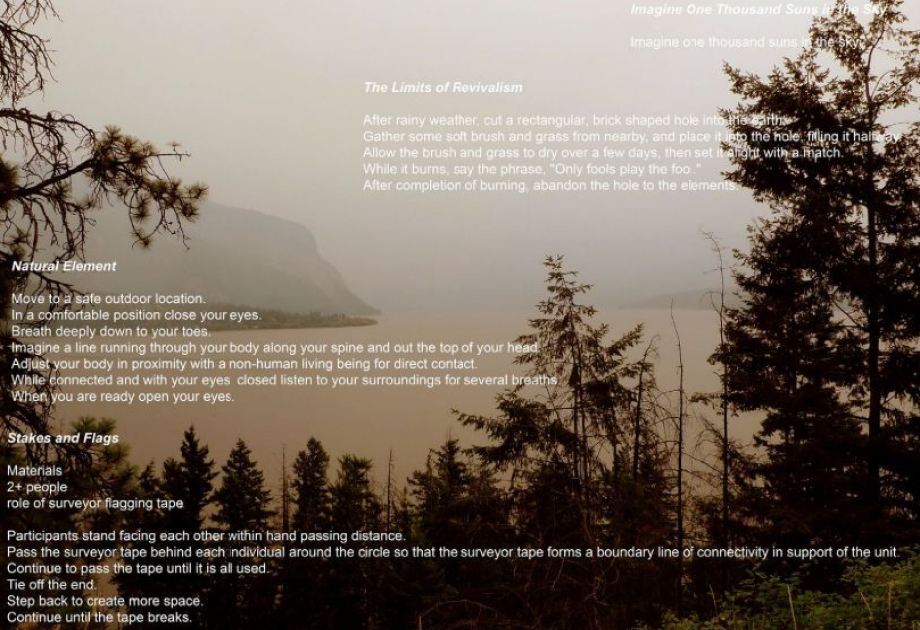 view of page commissioned by NADI for C-Mag including a landscape background and instructions on an exhibition model